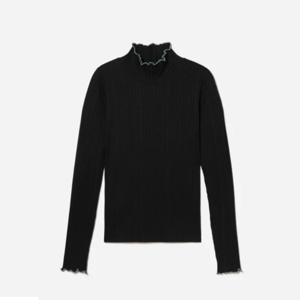 BRAND NEW Everlane: The Pleated Turtleneck